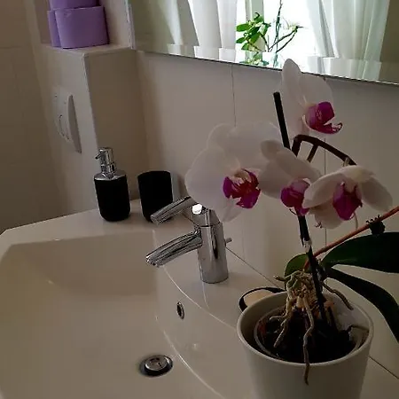 Centro Terme Apartment *
